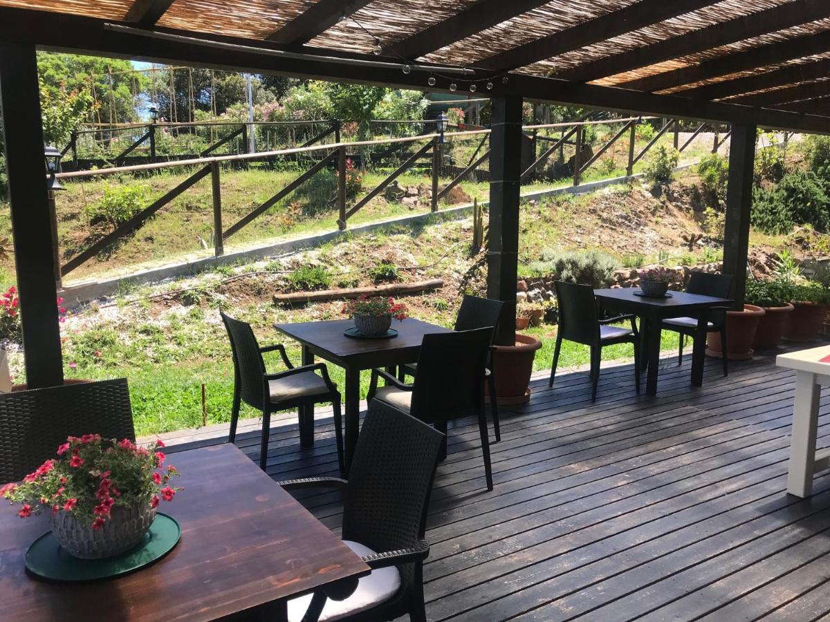 B&B Aloe Ranch Elba Rio dellʼElba Eksteriør billede