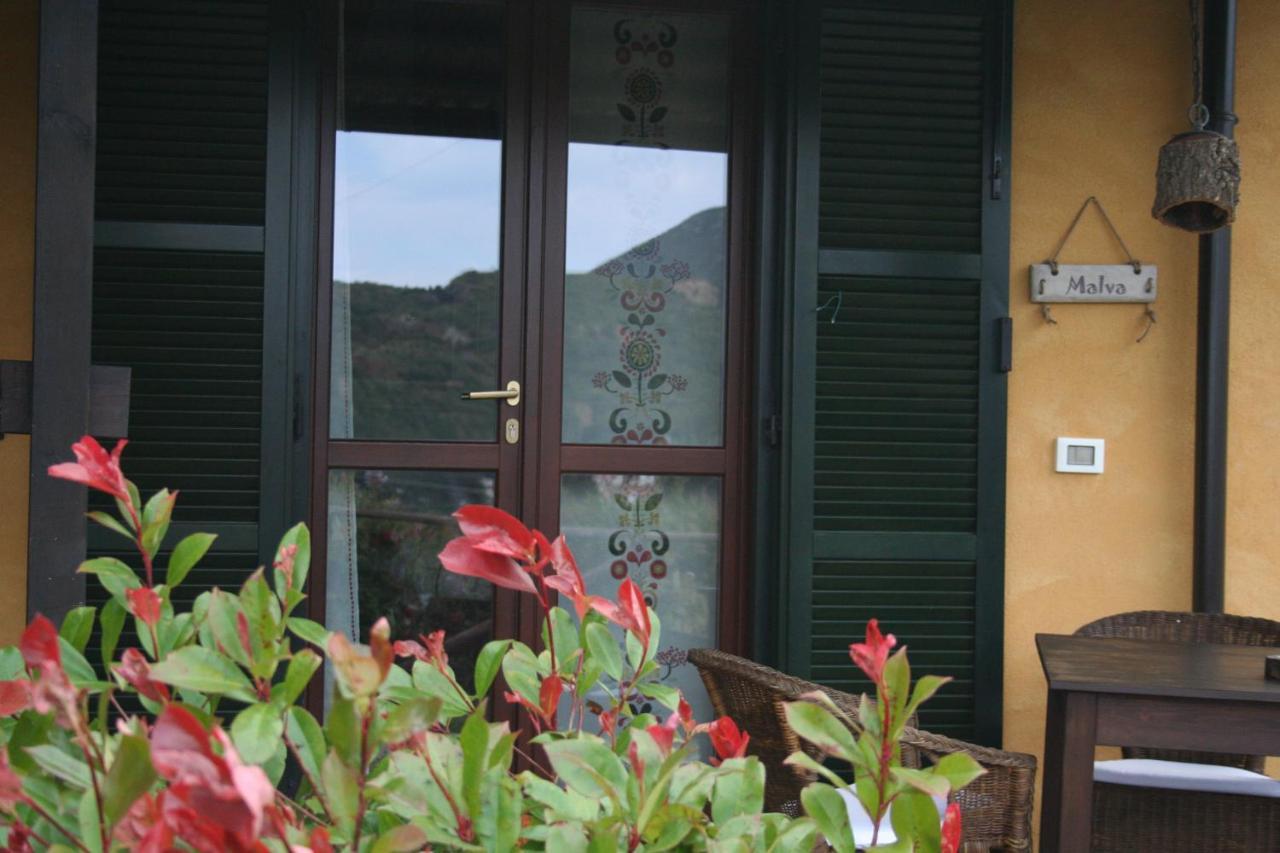 B&B Aloe Ranch Elba Rio dellʼElba Eksteriør billede